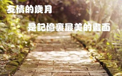 友情悲伤的句子 关于友情伤感句子