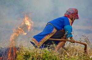 牛吃草的句子 与“牛吃草”有关的诗句有那些 牛吃草的句子 与“牛吃草”有关的诗句有那些