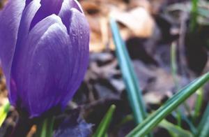 校园的感慨句子 伤感毕业校园句子