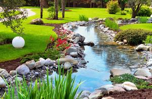 小葱的好词好句 关于拔葱作文的好词好句好段