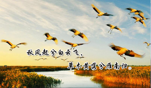 秋天的山名句 秋天的山名句