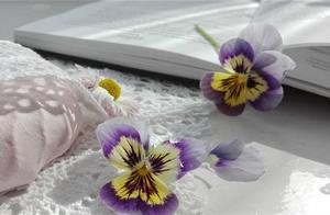 和不放弃有关的名句 有关不放弃的名言