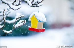 描写龙腾飞的好词好句 关于迎新春的好词好句好段