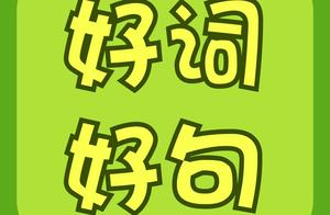 写树根的好句 形容树根的句子 写树根的好句 形容树根的句子