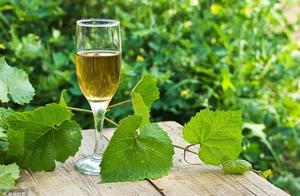 关于车水马龙的名句摘抄 我摘抄的美文佳句什么写