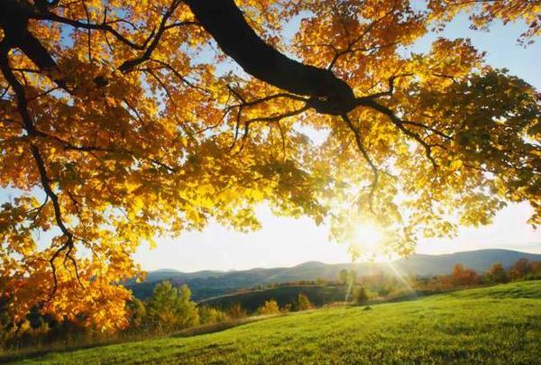 美好早晨句子 早上好的优美句子