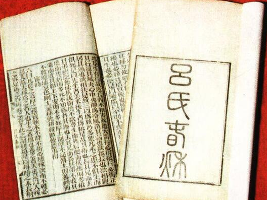 兔王卖耳好句 兔王卖耳读后感怎么写