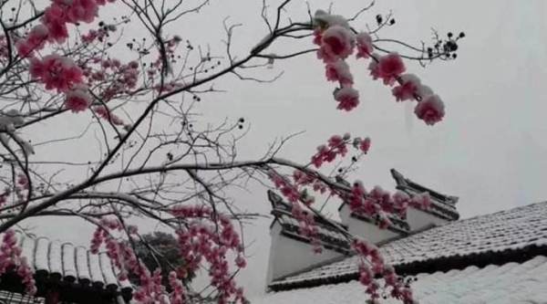 用比喻描绘雪的名句 描写雪古诗的比喻句