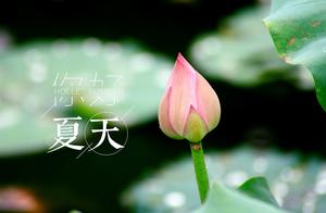 夏天优美的句子。 描写夏天的优美句子