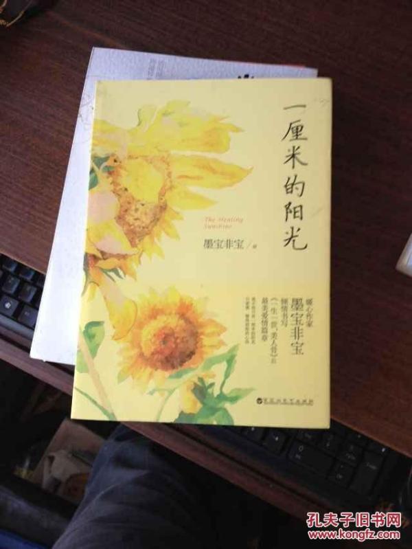 阳光语录 一厘米的阳光的经典语录