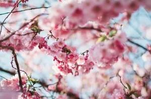 关于劳动者的名句 关于“劳动”的名句