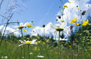 好句大约三十字左右 好句每句三十字左右急