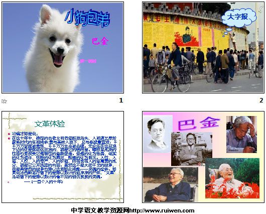 小狗包弟句子赏析 小狗包弟语句赏析