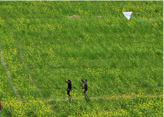 放风筝好句子 积累放风筝的好词好句