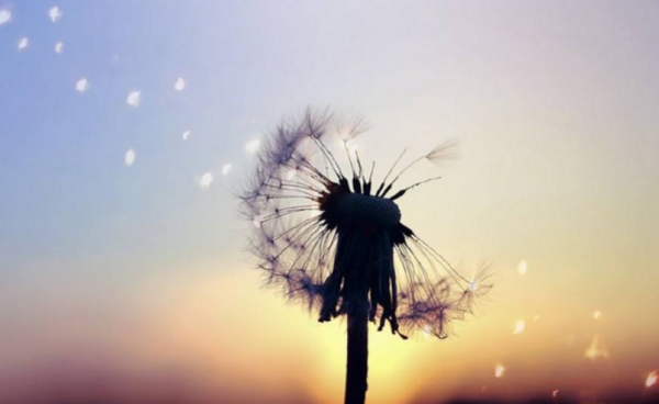 一句话伤感语录图片 伤感语录图片