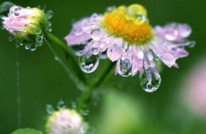 祥瑞名句 亲朋好友赞美的名言名句