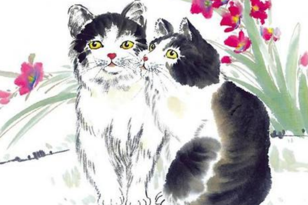 猫好词好句摘抄 描写猫的好词好句好段