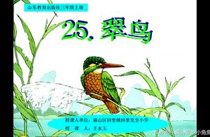 形容翠鸟的句子 关于翠鸟的句子