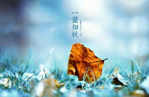 关于虎丘的句子 赞美虎丘的句子