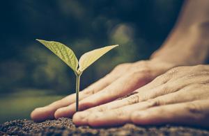 涂磊微博经典语录 涂磊经典语录