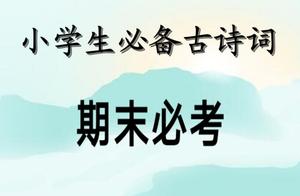 初中语文句子 初中语文古诗经典句子