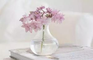 英语情感心灵鸡汤语录 心灵鸡汤经典语录300字