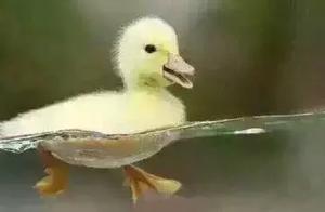 思考的名句 关于思考的名言