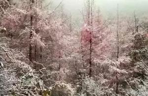 关于相思的名句 关于思念的诗句 关于相思的名句 关于思念的诗句