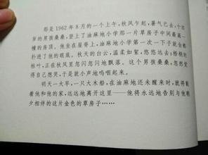 草房子1到4章的好句 草房子第四章好词好句