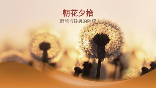 朝花夕拾好句加赏析简单 朝花夕拾每一篇的好句并赏析 朝花夕拾好句加赏析简单 朝花夕拾每一篇的好句并赏析