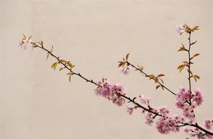 烦恼的好句. 关于清空烦恼的句子