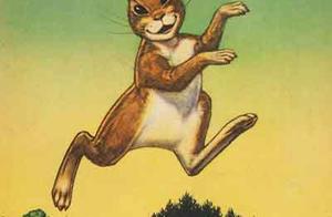 兔子坡得好词好句 兔子坡这本书里有什么好词好句