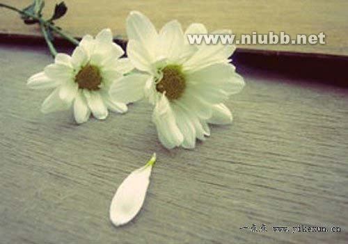 快乐人生经典语录 经典的人生、出经典语录