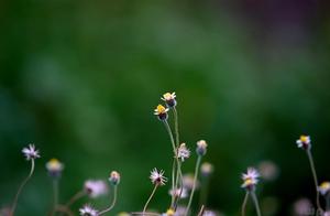 学会感恩励志语录 人生感恩励志的句子