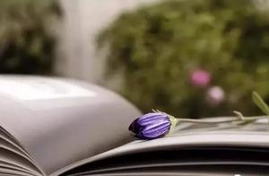 名作好句摘抄 世界名著好句摘抄 名作好句摘抄 世界名著好句摘抄