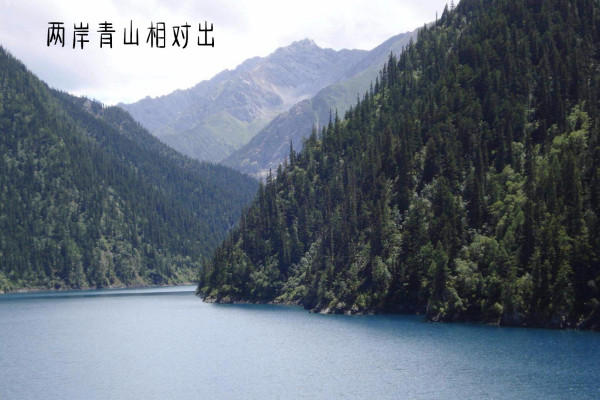 带胖字的名句 诗名里带肥字的诗词有哪些