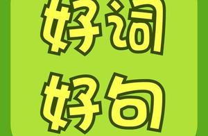 青铜葵花老槐树好句号段 青铜葵花老槐树好词好句