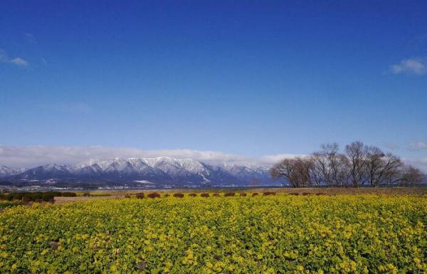 春天有句子。 描写春天的句子有哪些