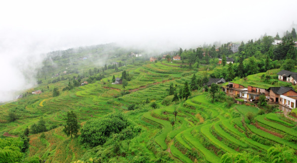 回故乡的文艺句子 写家乡的15个很短的优美句子