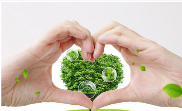 关于尊崇自然的名句 关于保护大自然的名言