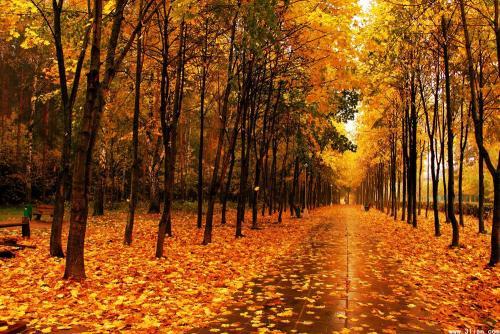 描写风景的好词好句短 描写家乡景色的好词、好句、好段