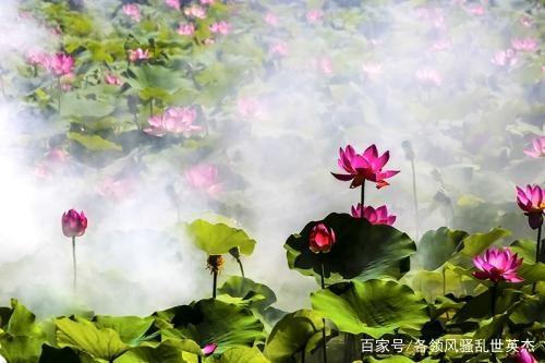 八年级上册文言文名句