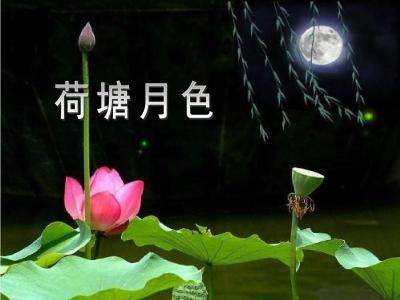 紫藤萝瀑布写景的句子5句