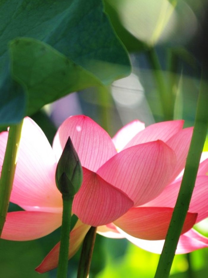 形容结伴的好句子