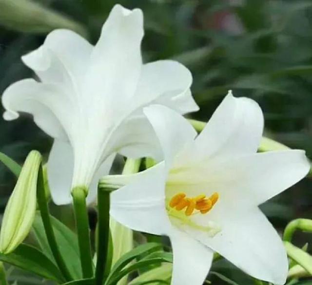 十句以下的好句