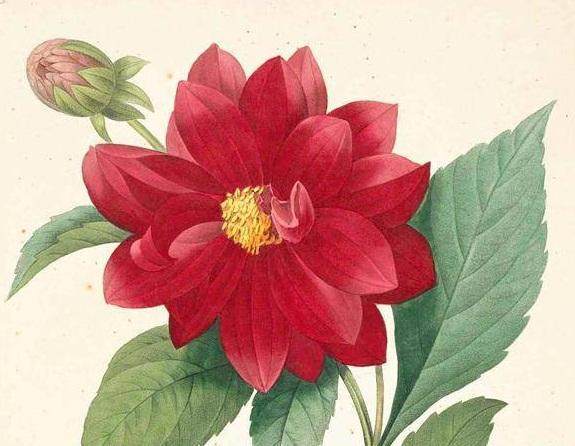 广阔天地语录 广阔天地语录